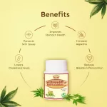 Jaived Ayurveda Benefits