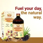 Panchyoga Asav - Image 5