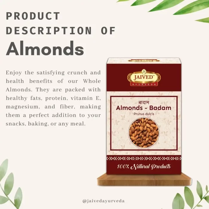 Almonds-Description-Jaived-Ayurveda