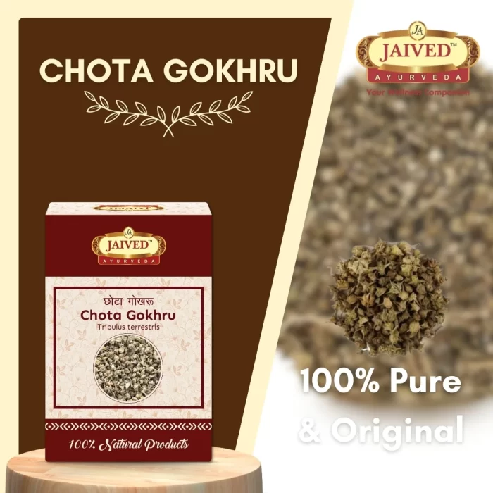 Chota Gokhru - Small Caltrops - छोटा गोखरू - Image 5