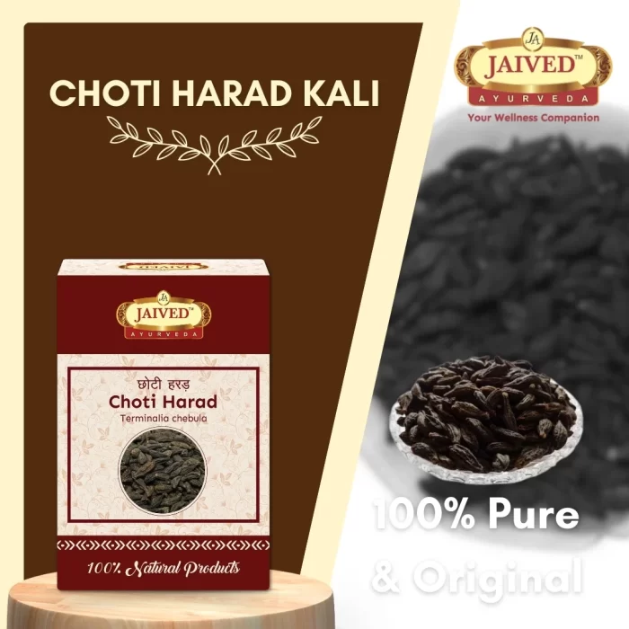 Choti Harad Kali - Black Haritaki - छोटी हरड़ काली - Terminalia chebula - Image 5