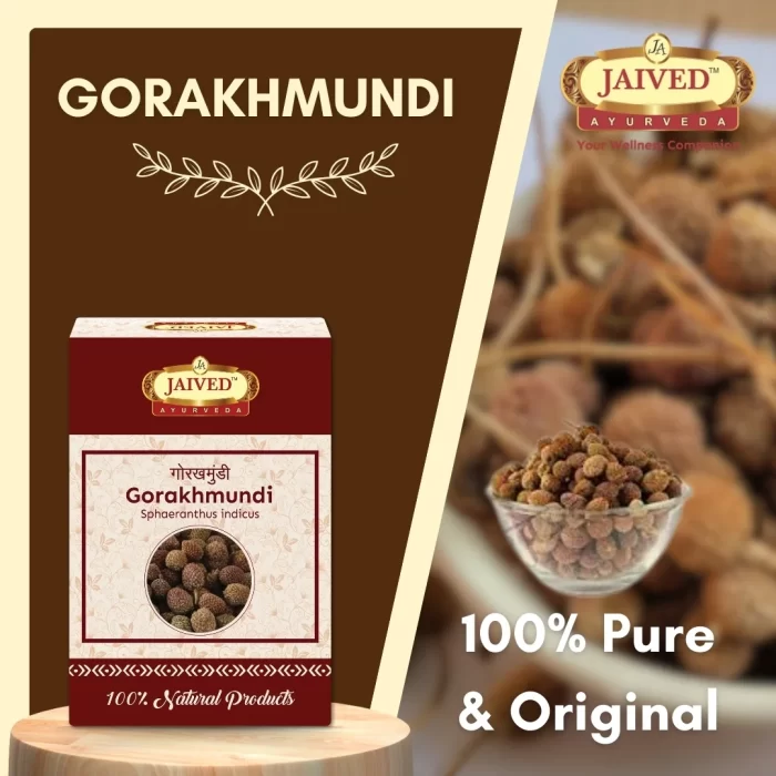 Gorakhmundi - Indian Sphaeranthus - गोरखमुंडी - Sphaeranthus indicus - Image 5