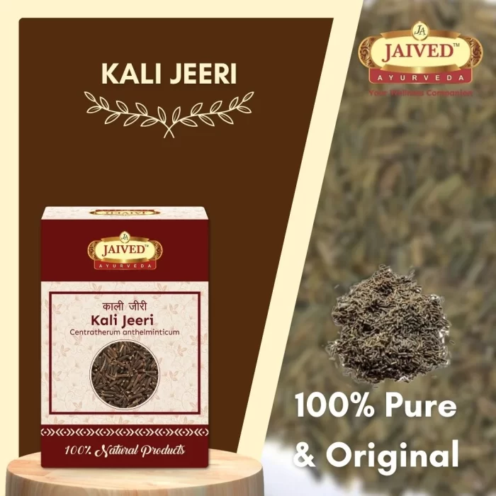 Kali Jeeri  - Black Cumin - काली जीरी - Centratherum anthelminticum - Image 5