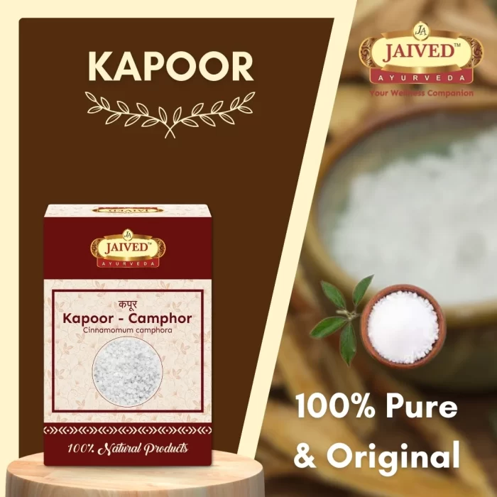 Kapoor - Camphor - कपूर - Cinnamomum camphora - Image 5