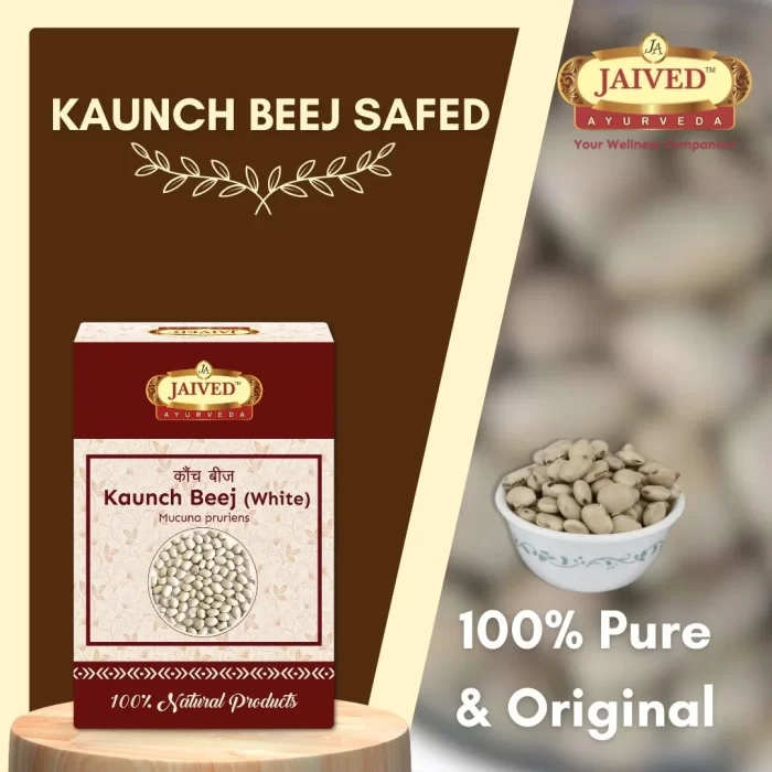 Kaunch Beej Safed - White Velvet Bean - कौंच बीज - Mucuna pruriens var. utilis - Image 5