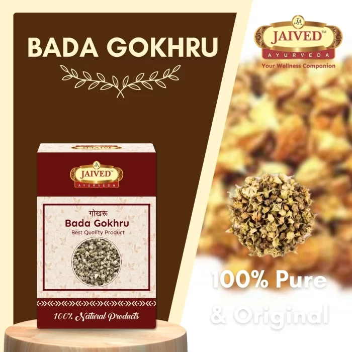 10 Bada Gokhru - Gokshura - गोखरू - Tribulus terrestris - Image 5