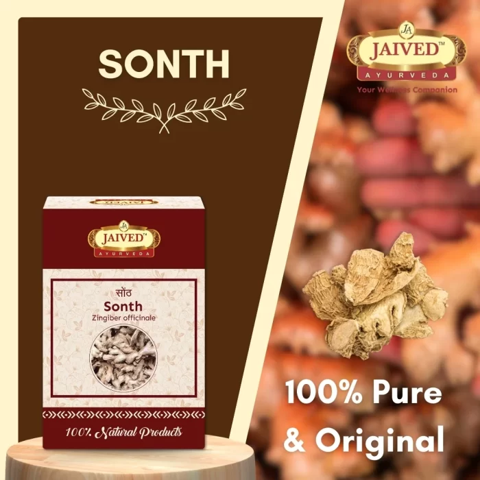 Sonth - Dry Ginger - सोंठ - Zingiber officinale - Image 5