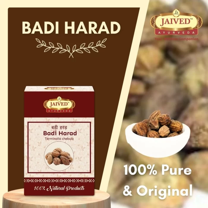 Badi Harad - Haritaki - बड़ी हरड़ - Terminalia chebula - Image 5