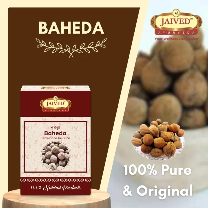 Baheda - Bibhitaki - बहेड़ा - Terminalia bellirica - Image 5