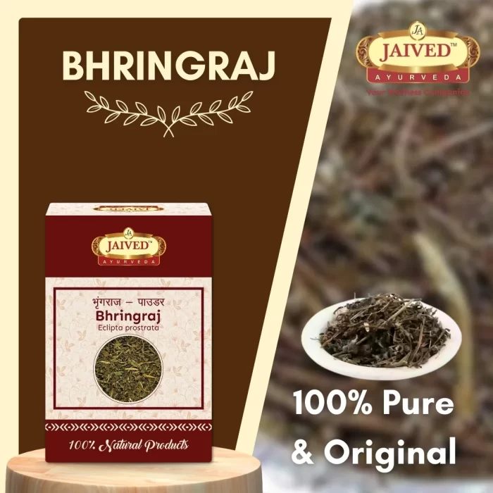Bhringraj - False Daisy - भृंगराज - Image 5