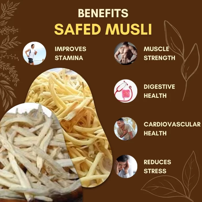 Safed Musli Whole (Sabut) - Safed Musli - सफेद मूसली - Chlorophytum borivilianum - Image 3