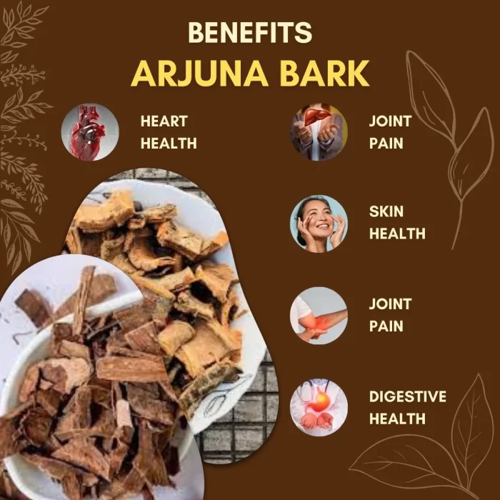 Arjuna Bark - Arjun ki Chaal- अर्जुन की छाल - Terminalia arjuna - Image 3