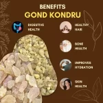 Gond Kondru - Lasora Gum - गोंद कोंदरु - Cordia dichotoma - Image 3