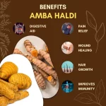Amba Haldi - Mango Ginger - अंबा हल्दी - Curcuma amada - Image 3
