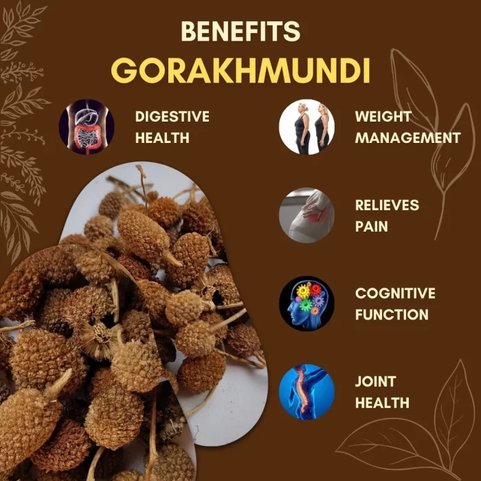 Gorakhmundi - Indian Sphaeranthus - गोरखमुंडी - Sphaeranthus indicus - Image 3