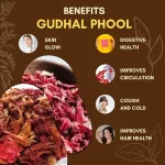 Gudhal Phool - Hibiscus Flower - गुड़हल फूल - Hibiscus rosa-sinensis - Image 3