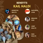 Kali Haldi - Black Turmeric - काली हल्दी - Curcuma caesia - Image 3