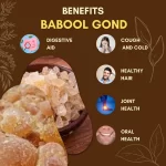 Babool Gond  - Babool Gum - बबूल गोंद - Acacia nilotica - Image 3