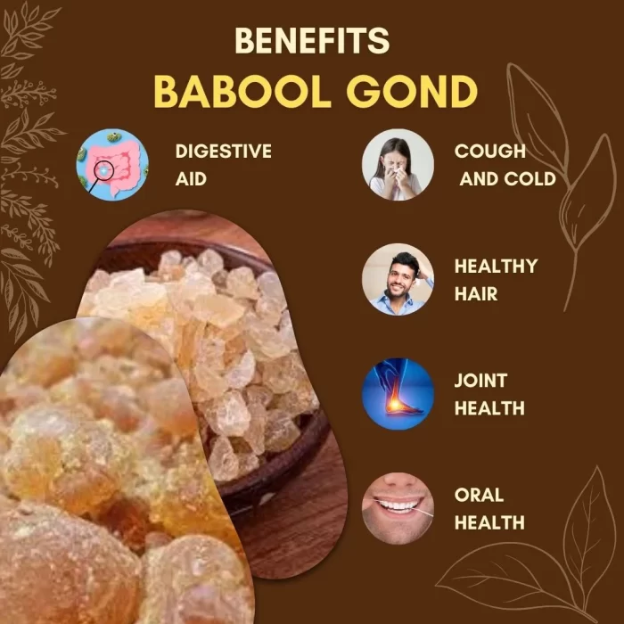 8 Babool Gond  - Babool Gum - बबूल गोंद - Acacia nilotica - Image 3