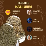 Kali Jeeri  - Black Cumin - काली जीरी - Centratherum anthelminticum - Image 3