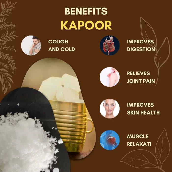 Kapoor - Camphor - कपूर - Cinnamomum camphora - Image 3