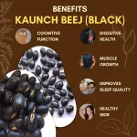 Kaunch Beej Kale - Black Velvet Bean - कौंच बीज - Mucuna pruriens varnigra - Image 3