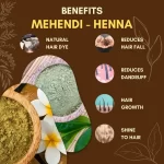 Mehendi - Henna - मेहंदी - Lawsonia inermis - Image 3