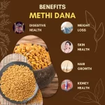 Methi Dana - Fenugreek Seeds - मेथी दाना - Trigonella foenum-graecum - Image 3