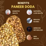 Paneer Doda - पनीर दोड़ा - Withania coagulans - Image 3