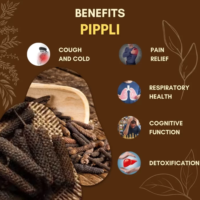 8 Pippli - Long Pepper - पिप्पली - Piper longum - Image 3