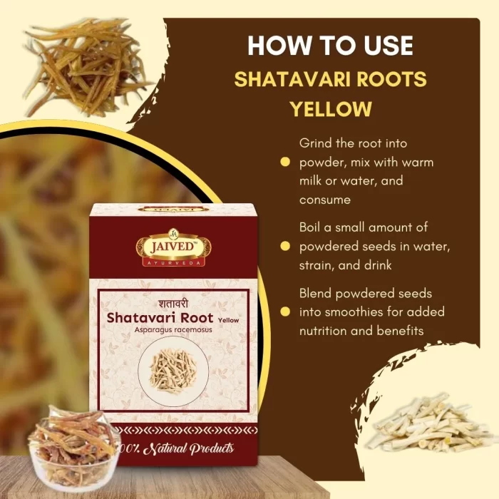 Shatavari Root Yellow - Shatavari - शतावरी - Asparagus racemosus - Image 10