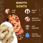 Sonth - Dry Ginger - सोंठ - Zingiber officinale - Image 3