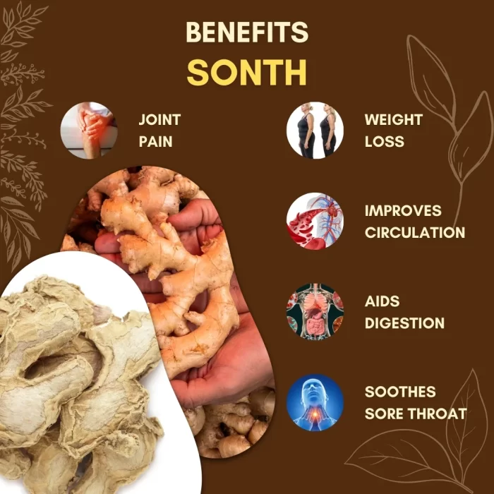 Sonth - Dry Ginger - सोंठ - Zingiber officinale - Image 3