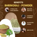 Bhringraj - Powder - Bhringraj Powder - भृंगराज - पाउडर - Eclipta prostrata - Image 3