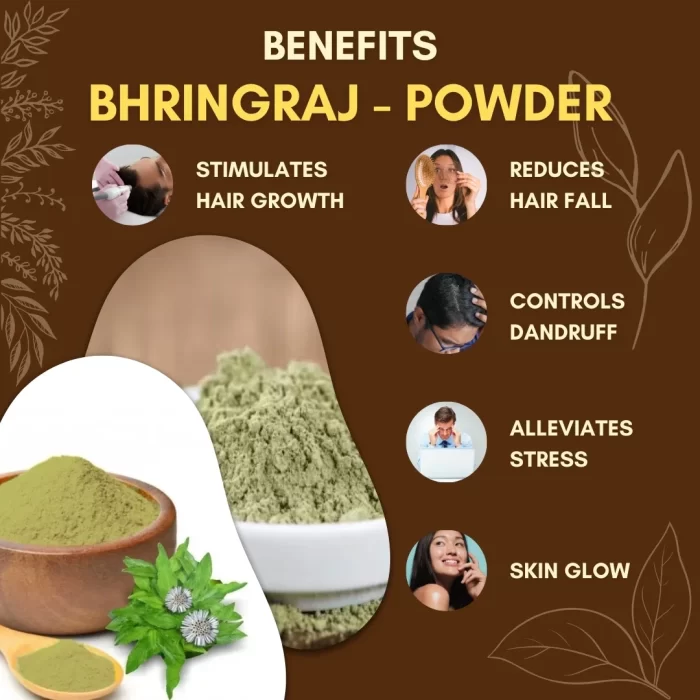 8 Bhringraj - Powder - Bhringraj Powder - भृंगराज - पाउडर - Eclipta prostrata - Image 3