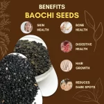 Baochi Seeds - Babchi - बाओची - Psoralea corylifolia - Image 10