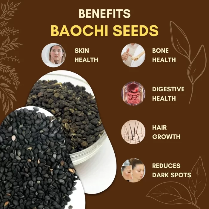 8 Baochi Seeds - Babchi - बाओची - Psoralea corylifolia - Image 10