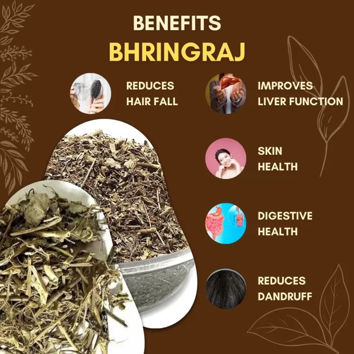 Bhringraj - False Daisy - भृंगराज - Image 3