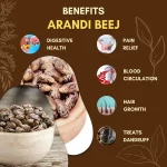 Arandi Beej - Castor Oil Plant - अरंडी बीज - Ricinus communis - Image 3