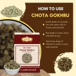 Chota Gokhru - Small Caltrops - छोटा गोखरू - Image 4