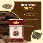 Giloy  - Tinospora - गिलोय - Tinospora cordifolia - Image 4