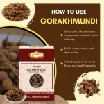 Gorakhmundi - Indian Sphaeranthus - गोरखमुंडी - Sphaeranthus indicus - Image 4