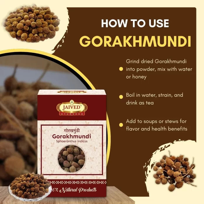 Gorakhmundi - Indian Sphaeranthus - गोरखमुंडी - Sphaeranthus indicus - Image 4