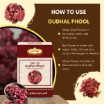 Gudhal Phool - Hibiscus Flower - गुड़हल फूल - Hibiscus rosa-sinensis - Image 4