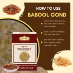 Babool Gond  - Babool Gum - बबूल गोंद - Acacia nilotica - Image 4
