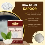 Kapoor - Camphor - कपूर - Cinnamomum camphora - Image 4