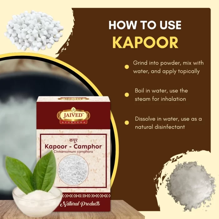 Kapoor - Camphor - कपूर - Cinnamomum camphora - Image 4