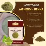 Mehendi - Henna - मेहंदी - Lawsonia inermis - Image 4