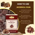 Moringa Gum - Drumstick Tree Gum - मोरिंगा गोंद - Moringa oleifera - Image 4