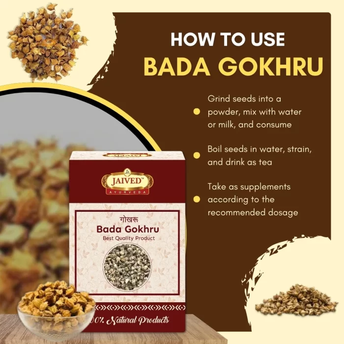 9 Bada Gokhru - Gokshura - गोखरू - Tribulus terrestris - Image 4